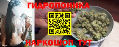 ешки Моздок