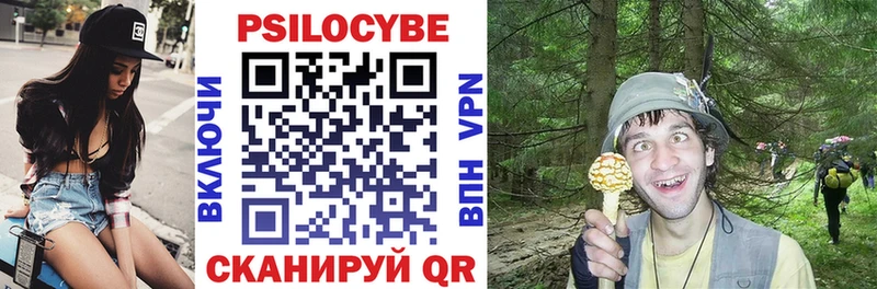 Псилоцибиновые грибы Psilocybine cubensis  маркетплейс состав  Богородицк 